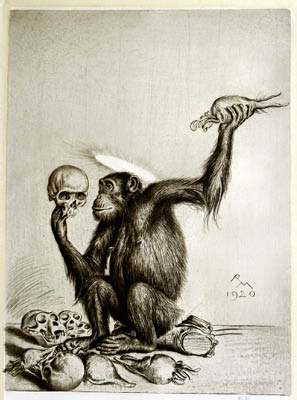 Richard M&uuml;ller
(1874-1954),Vergleichende Anatomie,comparative anatomy