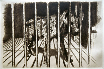 Richard M&uuml;ller (1874-1954),Fazinierende Komposition aus Gitterst&auml;ben, Licht und
struppigem Fell,Light, bars and shaggy fur in this very interesing composition