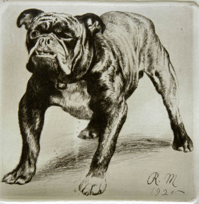 Richard M&uuml;ller (1874-1954),Kraft und Spannung des grimmig blickenden Tieres, meisterlich
dargestellt,a grim looking dog, full of tension and virtually jumping out of the frame