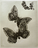 Richard M&uuml;ller Radierung 143